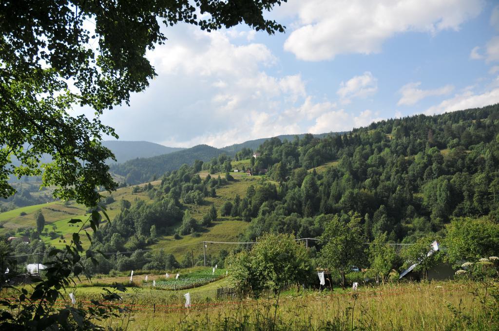 Drevenicka 110 Villa Zázrivá Exteriör bild